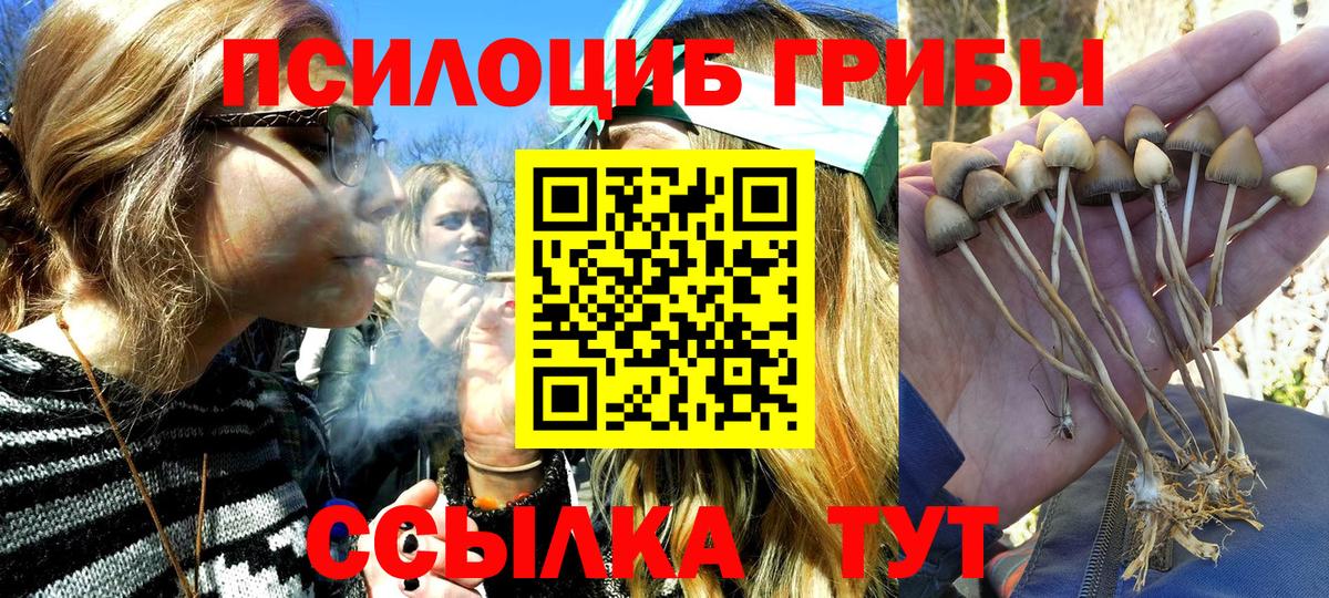 Галлюциногенные грибы Cubensis  Псилоцибиновые грибы мухоморы  Вход с VPN  Вольск 