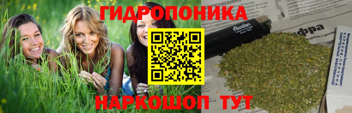 Конопля OG Kush  Марихуана конопля  Вход с VPN  Вольск  Канабис SATIVA & INDICA  Бошки марихуана семена 